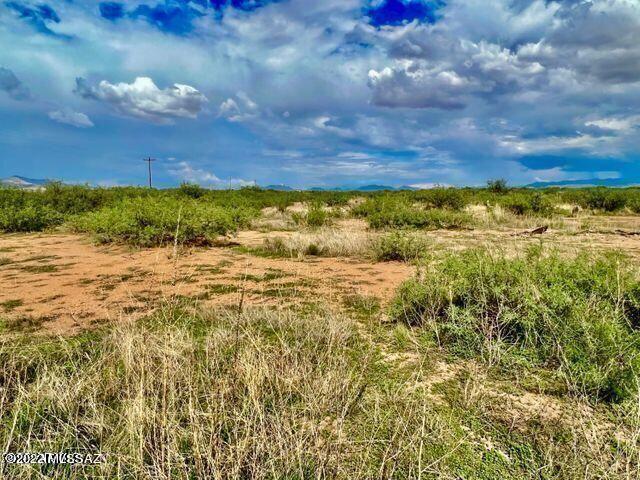 20 Acres Willcox, AZ 85643 - Photo 6 of 10
