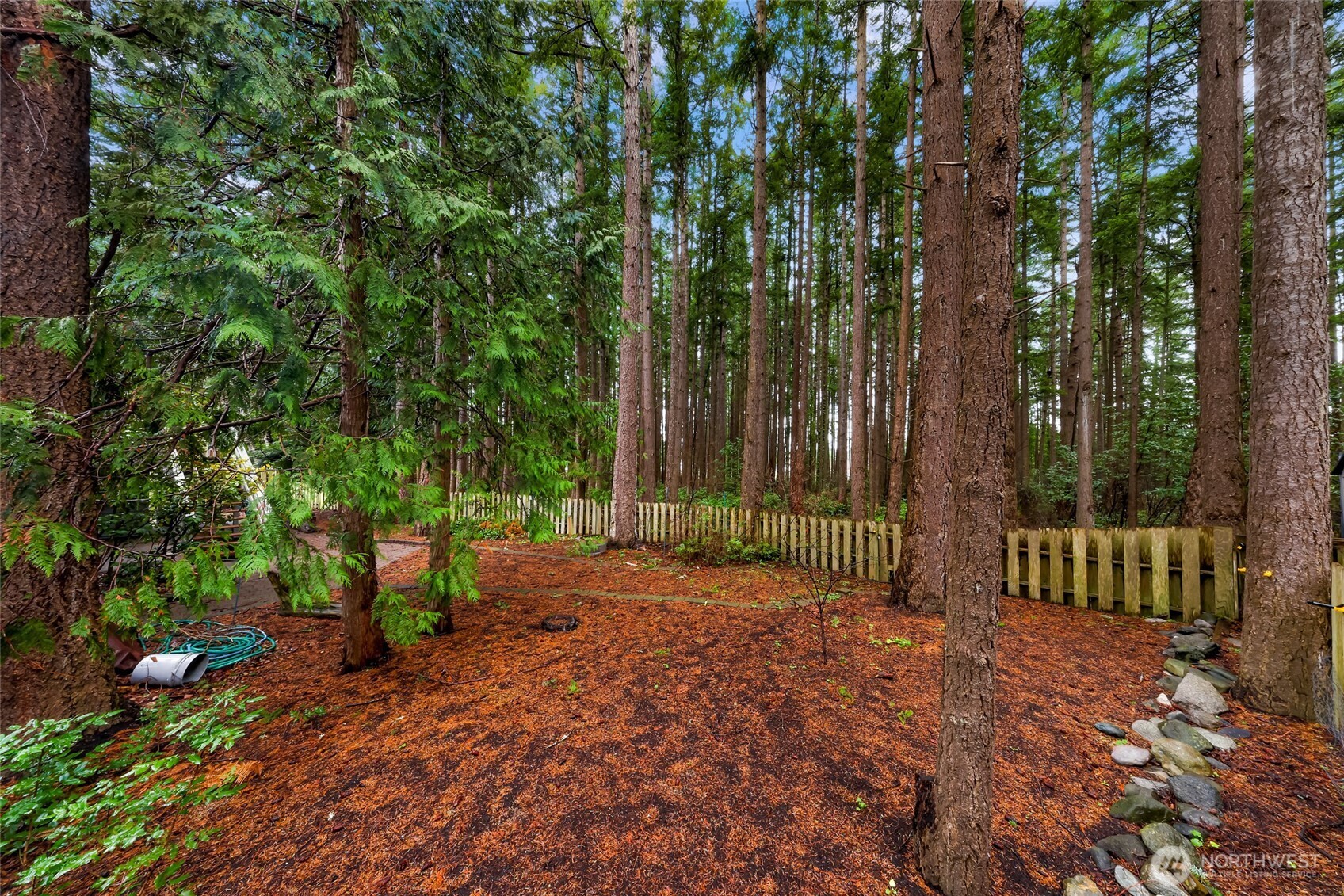 1834 Northeast Sumner Drive Oak Harbor, WA 98277 - Photo 35 of 37 a backyard of a house with lots of green space