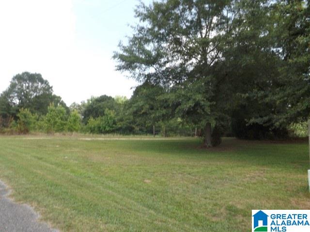 915 Burgett Road Altoona, AL 35952 - Photo 27 of 36