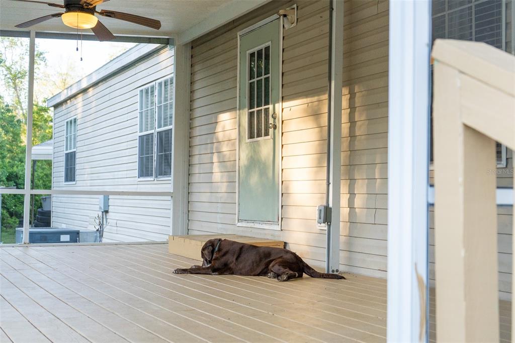 147 Riley Lake Drive Hawthorne, FL 32640 - Photo 12 of 25