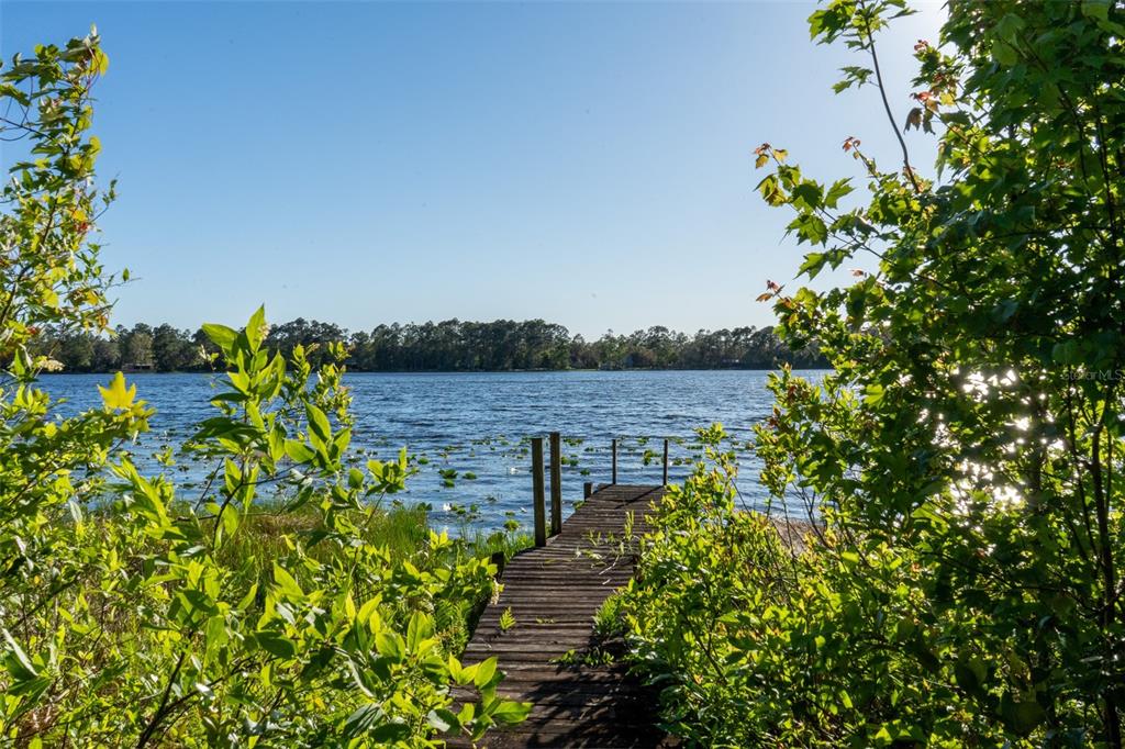 147 Riley Lake Drive Hawthorne, FL 32640 - Photo 19 of 25