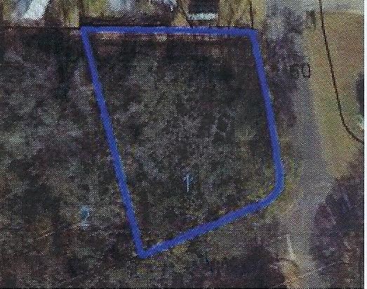 0 Coe Dairy Road Dothan, AL 36301 - Photo 2 of 2
