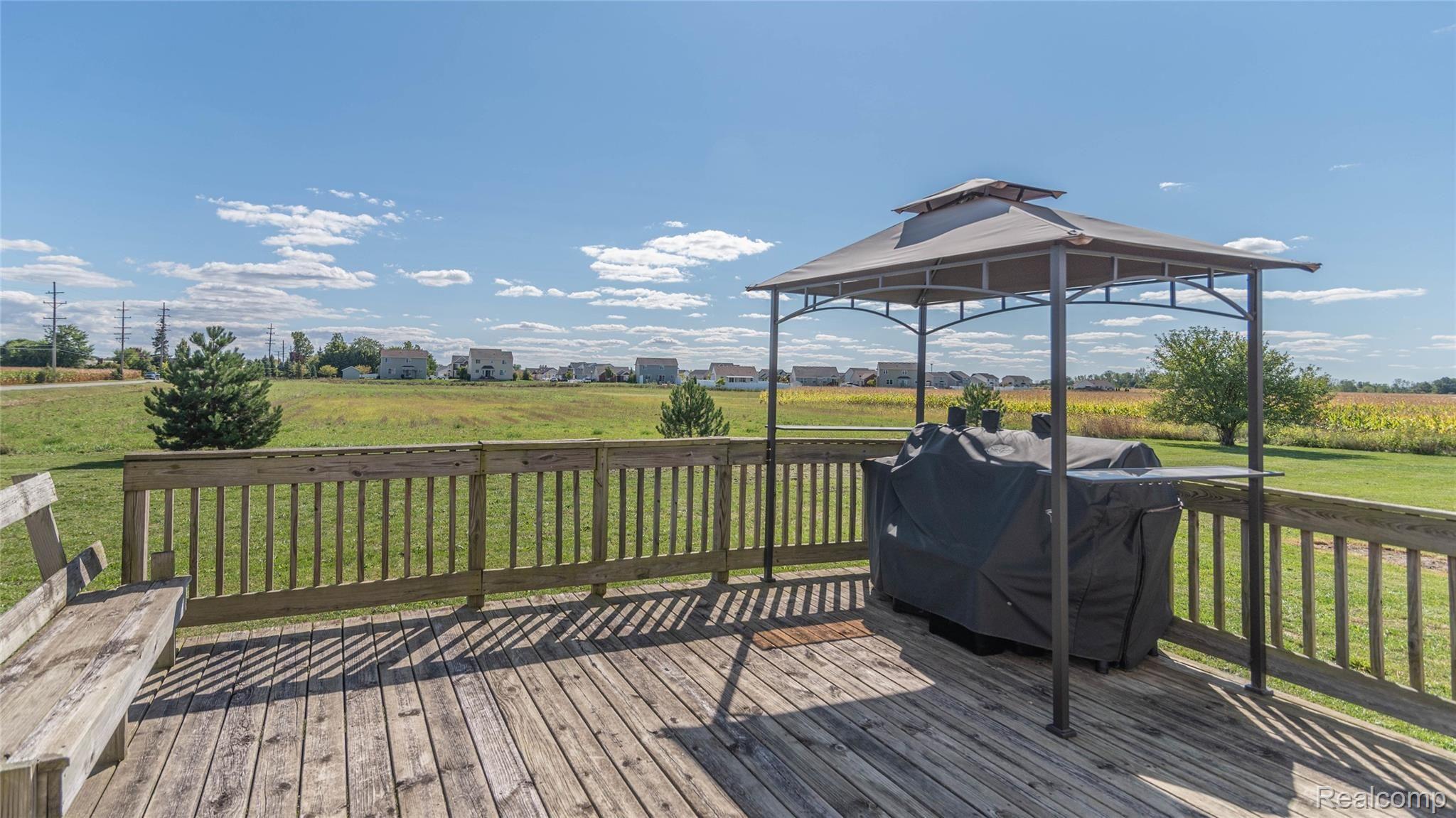 1173 Dundee Azalia Road Dundee, MI 48131 - Photo 46 of 68 00__45.jpg