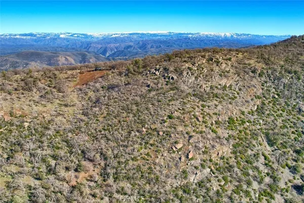 a view of a dry yard with lots of bushes