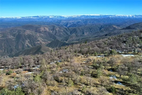 a view of a backyard of the house
