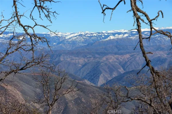 a view of outdoor space with trees
