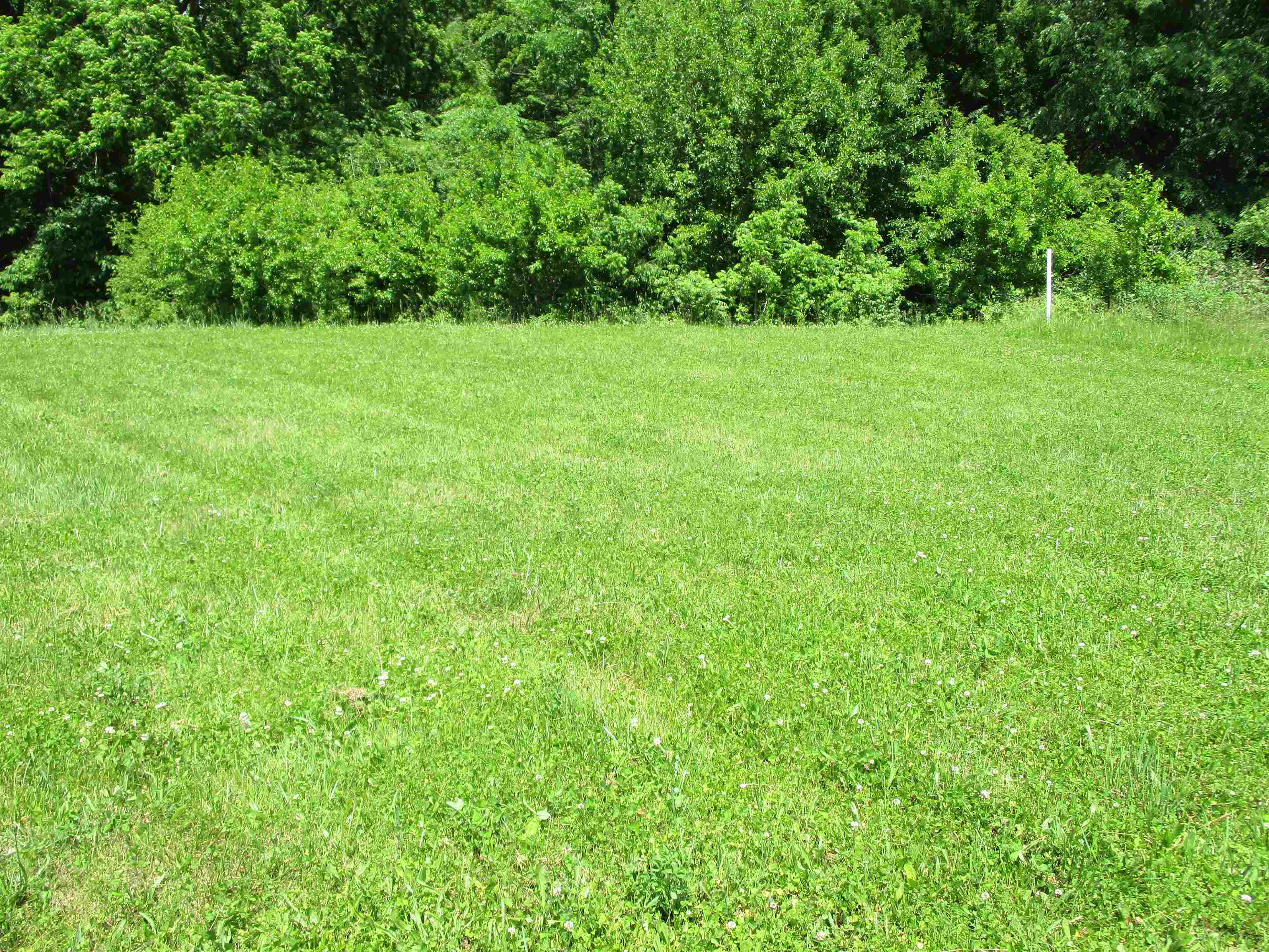 Lot 46 Terrier Prairie du Chien, WI 53821 - Photo 3 of 6