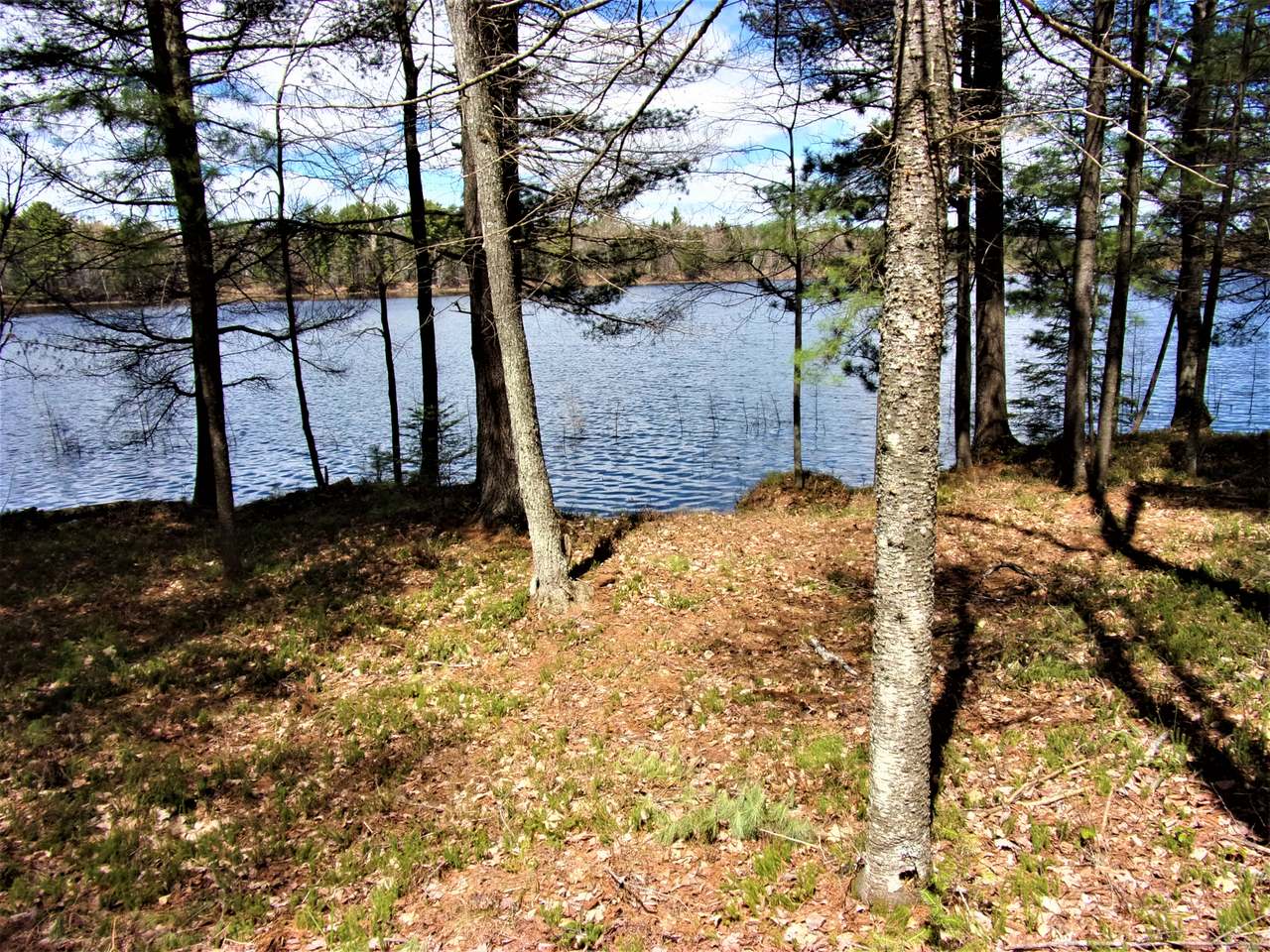 Lot 2 Harmony Lake Road Eagle River, WI 54521 - Photo 2 of 4 Gallery Image 2