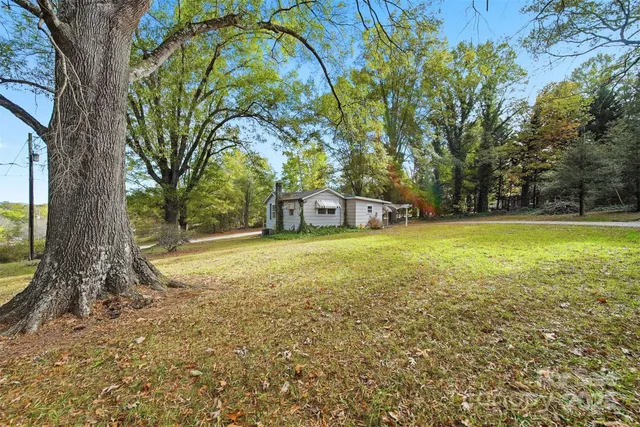 a view of a trees in a yard