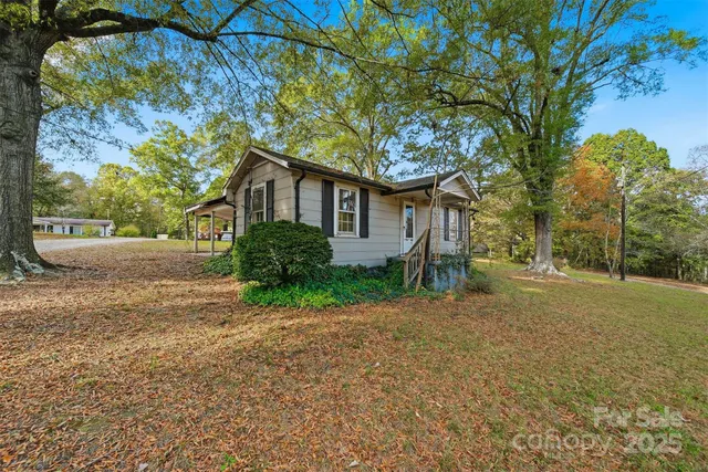 a view of a tree in the middle of a yard