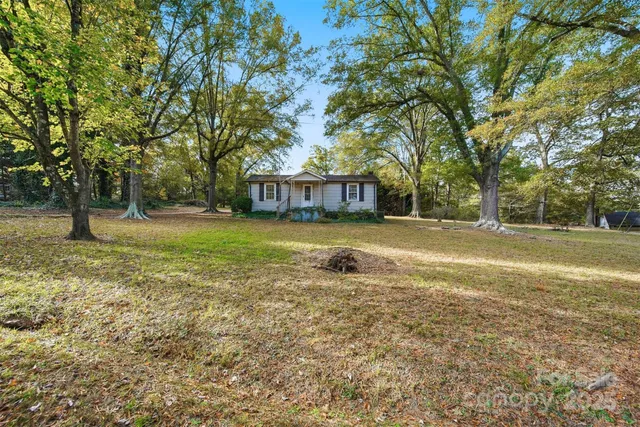 a view of a yard with plants and trees