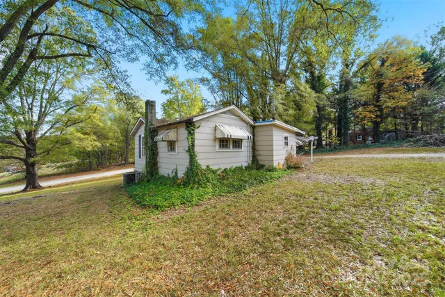 a park with large trees