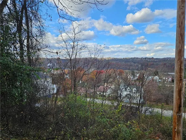 a view of a yard with a tree