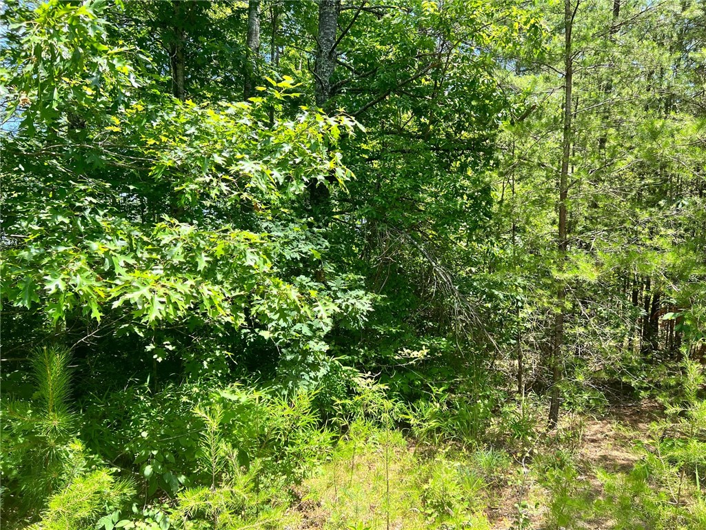 0 Pearson Road Salem, SC 29676 - Photo 4 of 7 Prop View 2