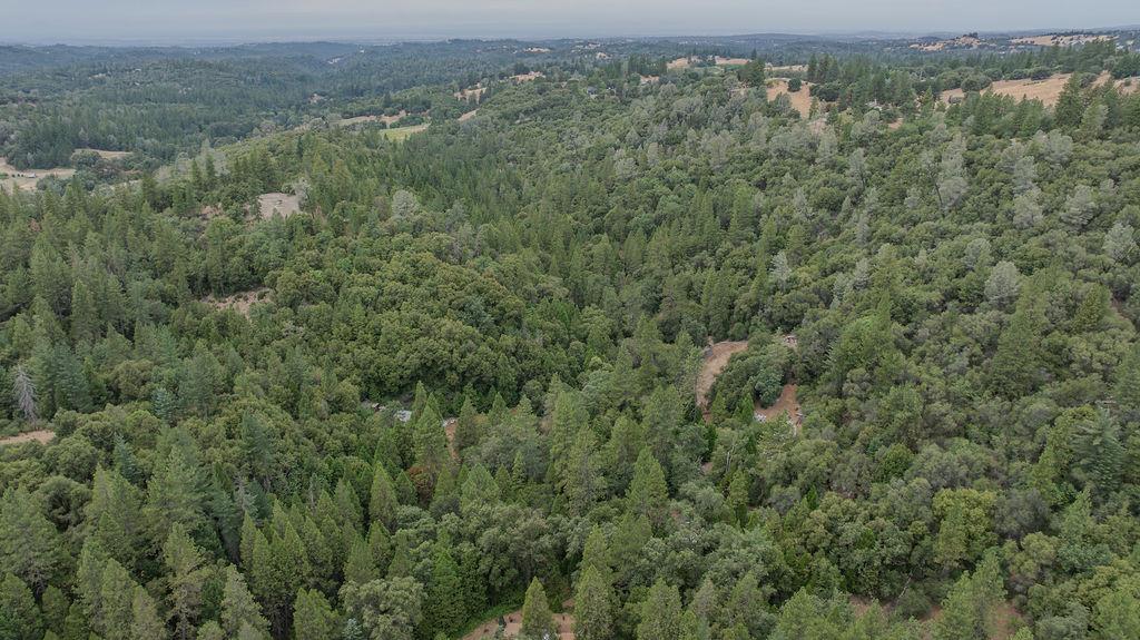 18101 Old River Road Fiddletown, CA 95629 - Photo 37 of 53 Gallery Image 37