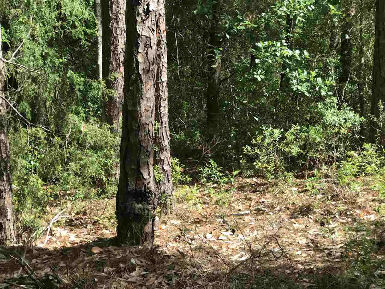 0 Boynton Road Elberta, AL 36530 - Photo 14 of 29