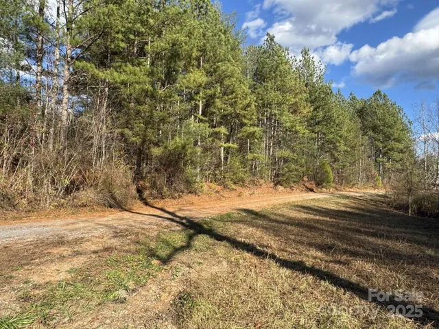 a view of a yard with plants and a building