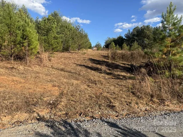 a view of a bunch of trees