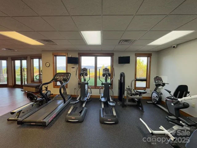 a view of a terrace with a garden