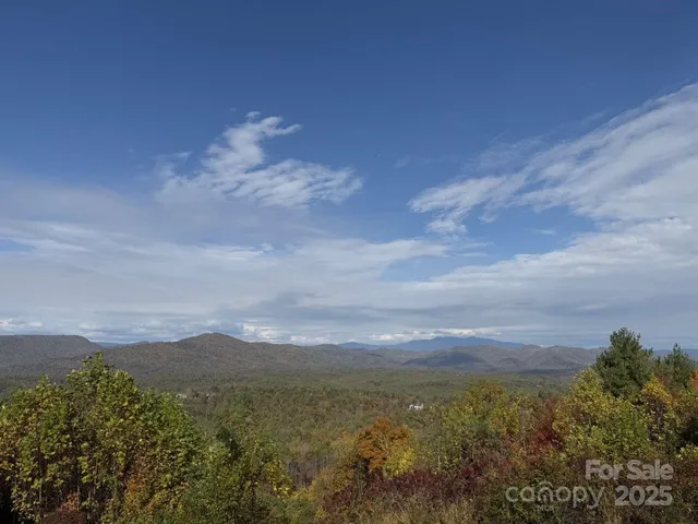 a view of a mountain in the distance in a field