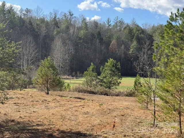a view of a yard with a tree