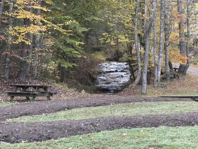 a view of backyard with green space