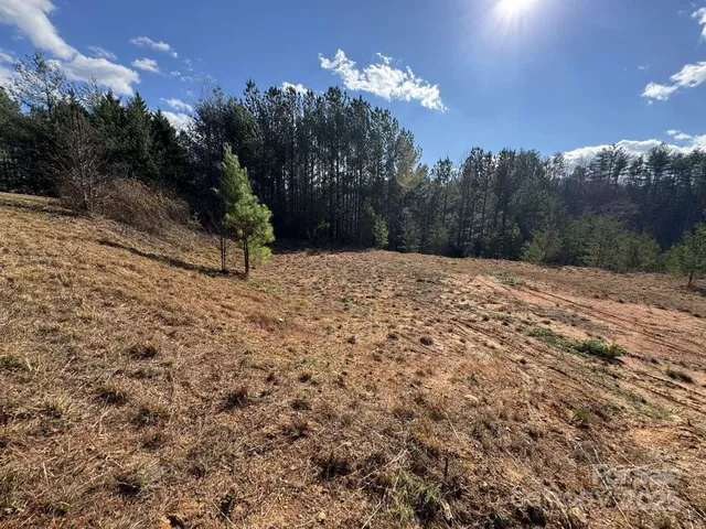 a view of a backyard of a house