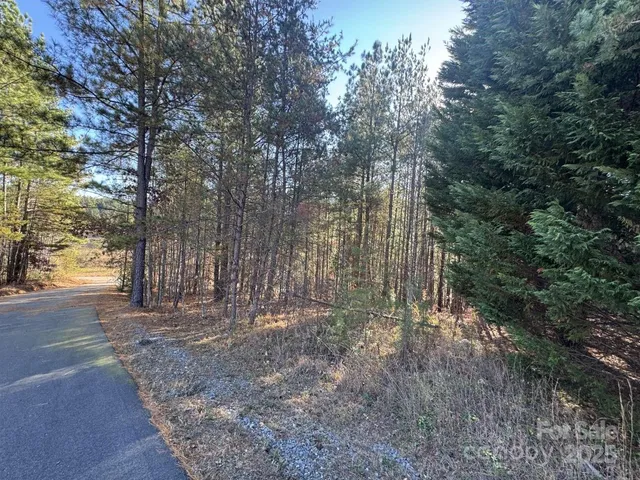 a view of a yard with plants and trees
