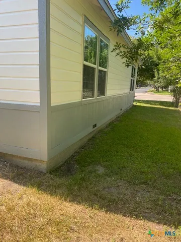 a view of backyard with potted plants and a large tree