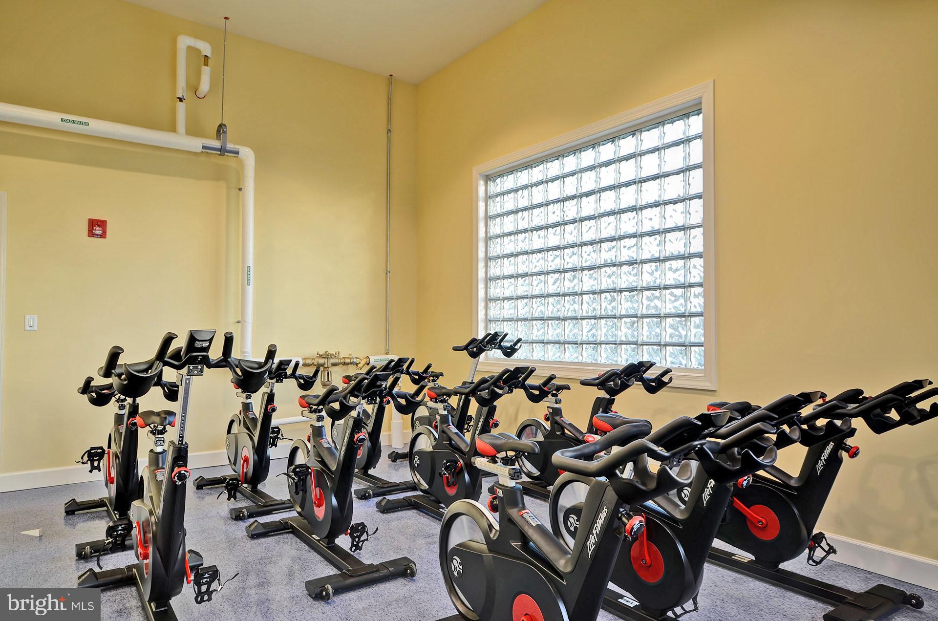 6 Basin Cove Way Ocean View, DE 19970 - Photo 45 of 45 a view of a room with gym equipment