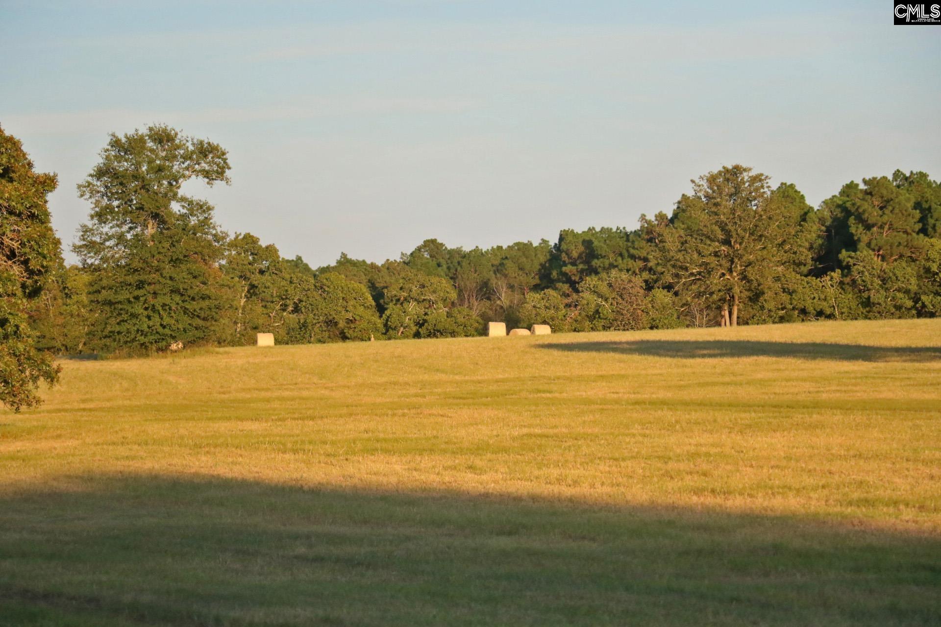 Tbd Browns Pond Road Wagener, SC 29164 - Photo 21 of 48