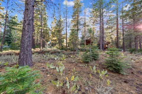 a view of outdoor space with trees