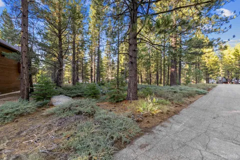 a view of a yard with trees