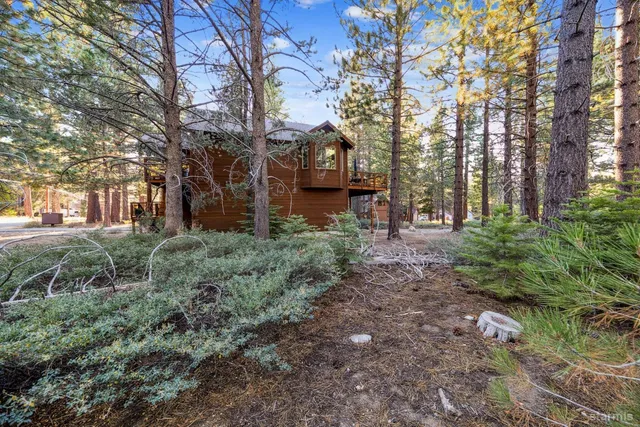 a view of a park that has large trees