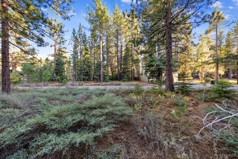 a big yard with lots of green space and plants