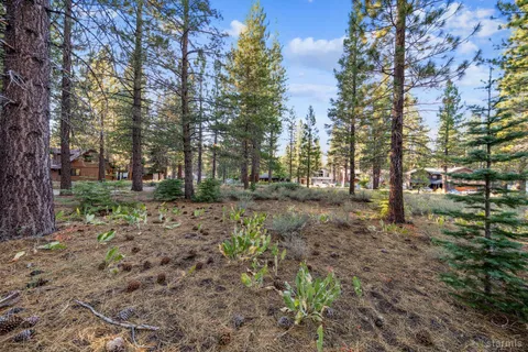 a view of outdoor space with trees
