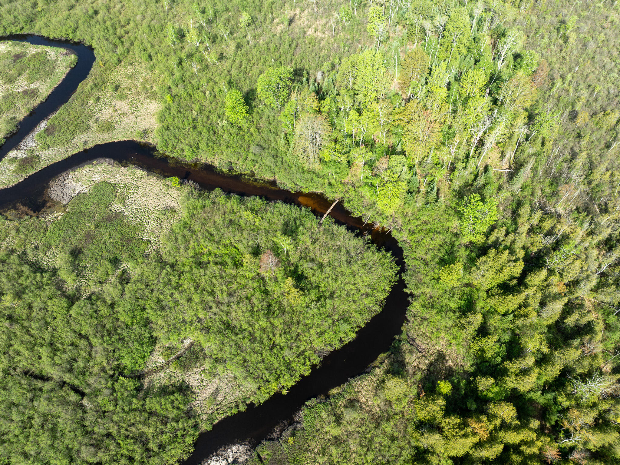 3 3 Mile Road Sears, MI 49679 - Photo 27 of 62 DJI_0340