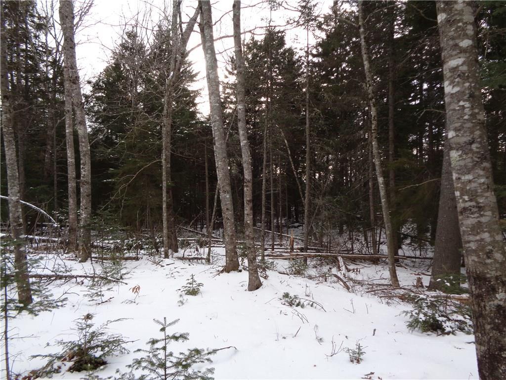 64-1 Upper Dedham Road Dedham, ME 04429 - Photo 6 of 8 Photo