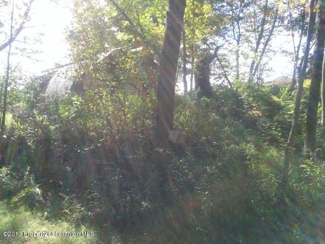 129 Brook Road Tyler Hill, PA 18469 - Photo 17 of 18 very secluded