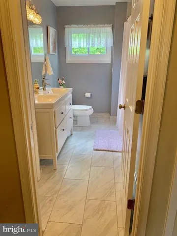 a bathroom with a sink a toilet and a mirror