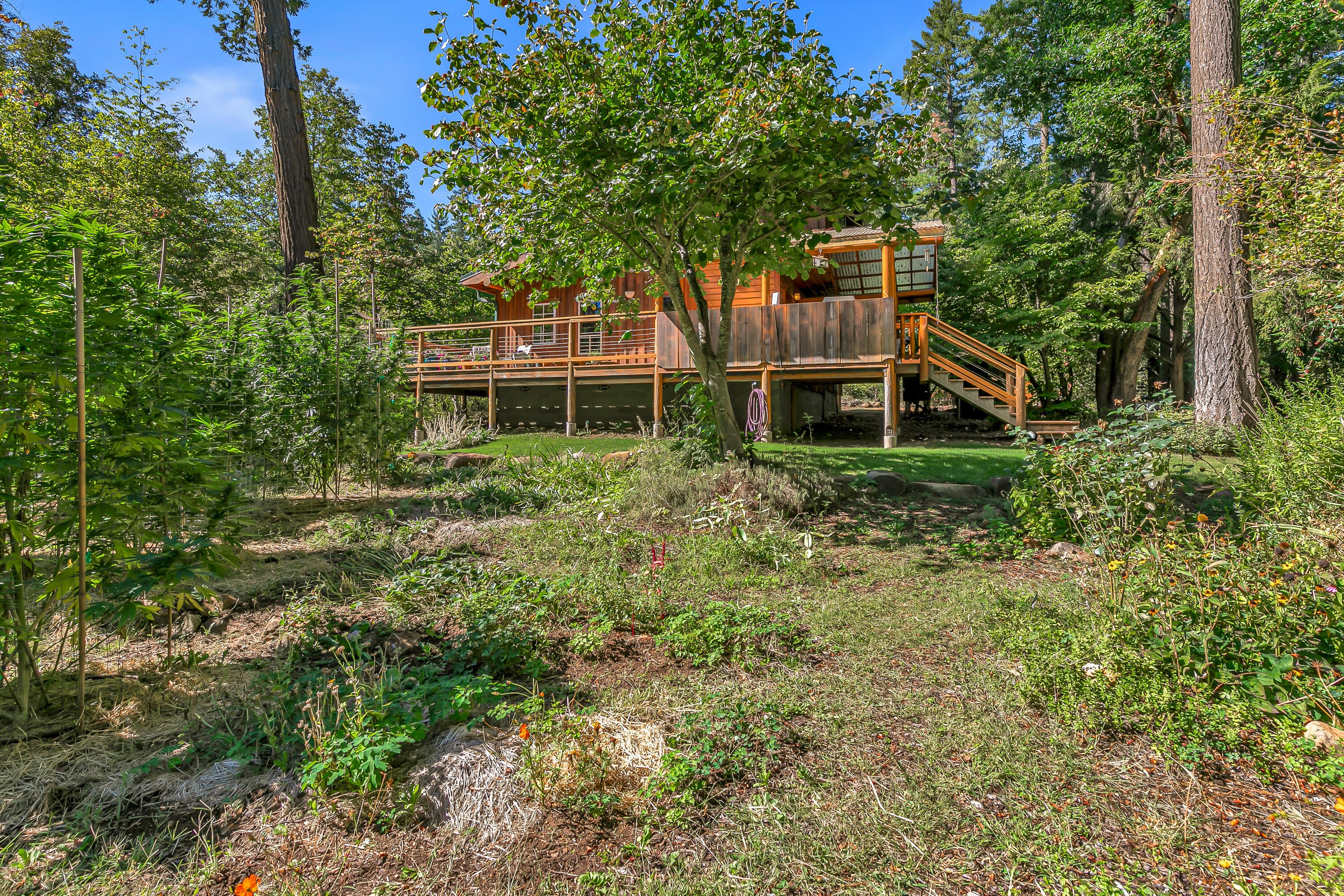 3496 East Fork Road Williams, OR 97544 - Photo 34 of 97 garden view
