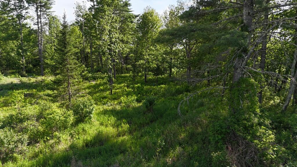 508 Pope Road Chesterville, ME 04938 - Photo 63 of 71 DJI_20260604162519_0010_D