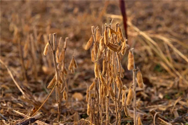 $225,000 | 432 Road Savannah Mo 64485, Savannah, MO 64485