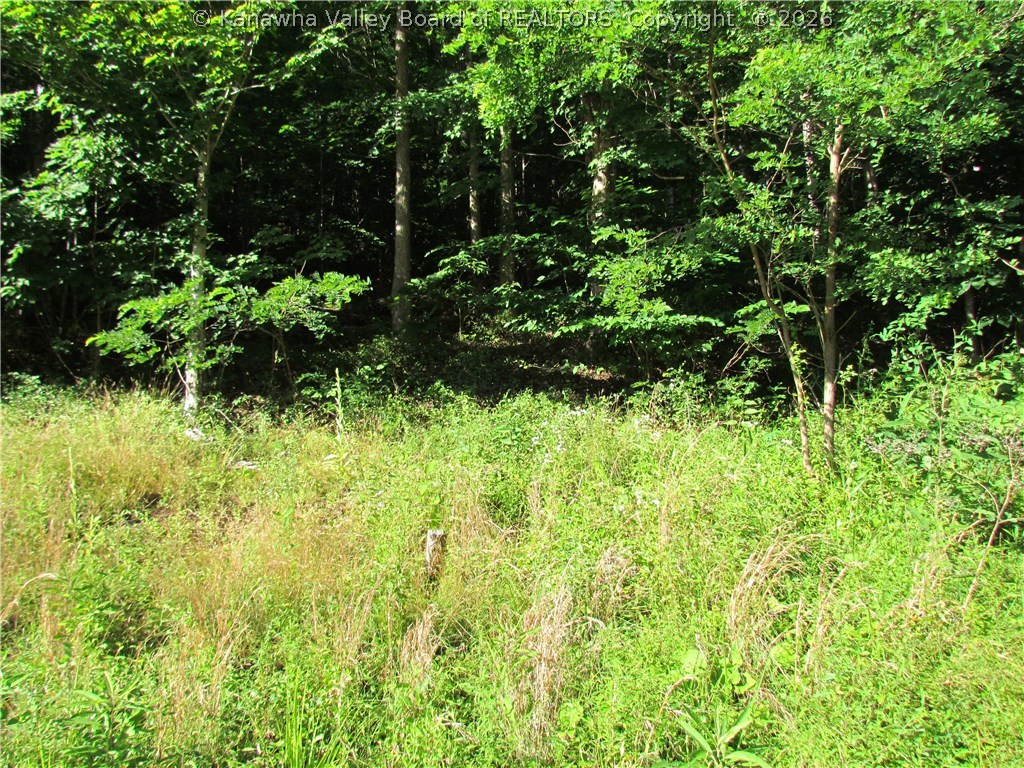 1632 Grapevine Road Charleston, WV 25320 - Photo 15 of 18 Gallery Image 15