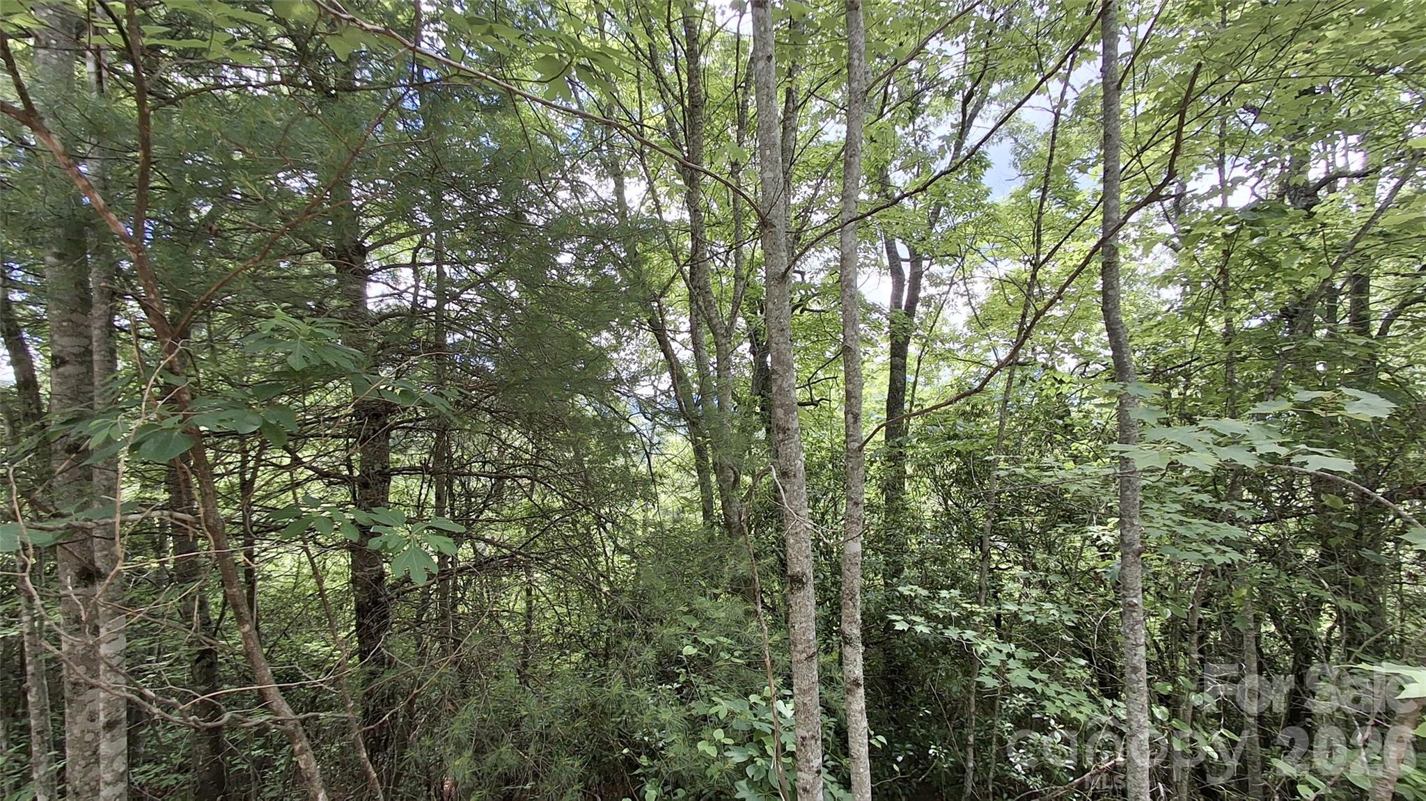 Lot 29 Signal Ridge, Unit 29 Sylva, NC 28779 - Photo 6 of 12
