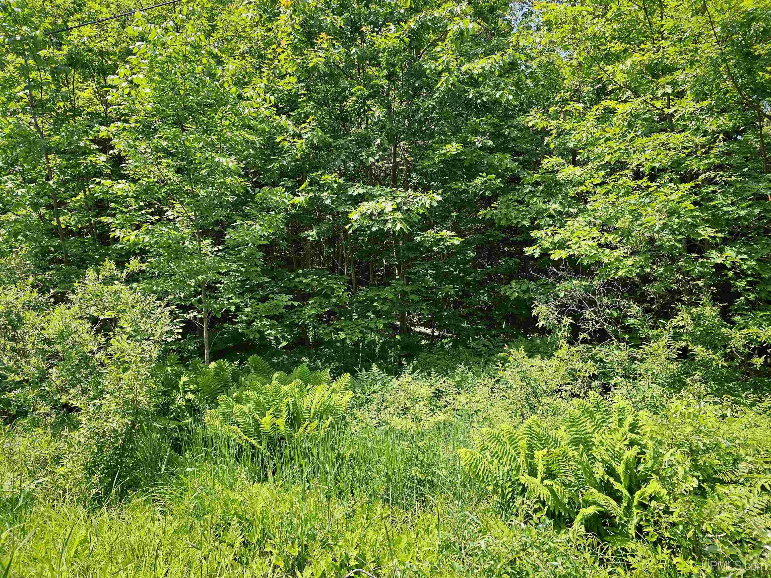 Tbd Pike River Road Chassell, MI 49916 - Photo 5 of 8