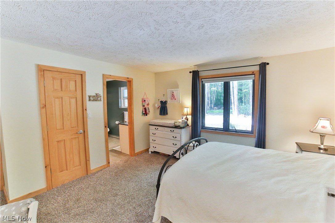 13599 Bass Lake Road Chardon, OH 44024 - Photo 24 of 35 Gallery Image 24