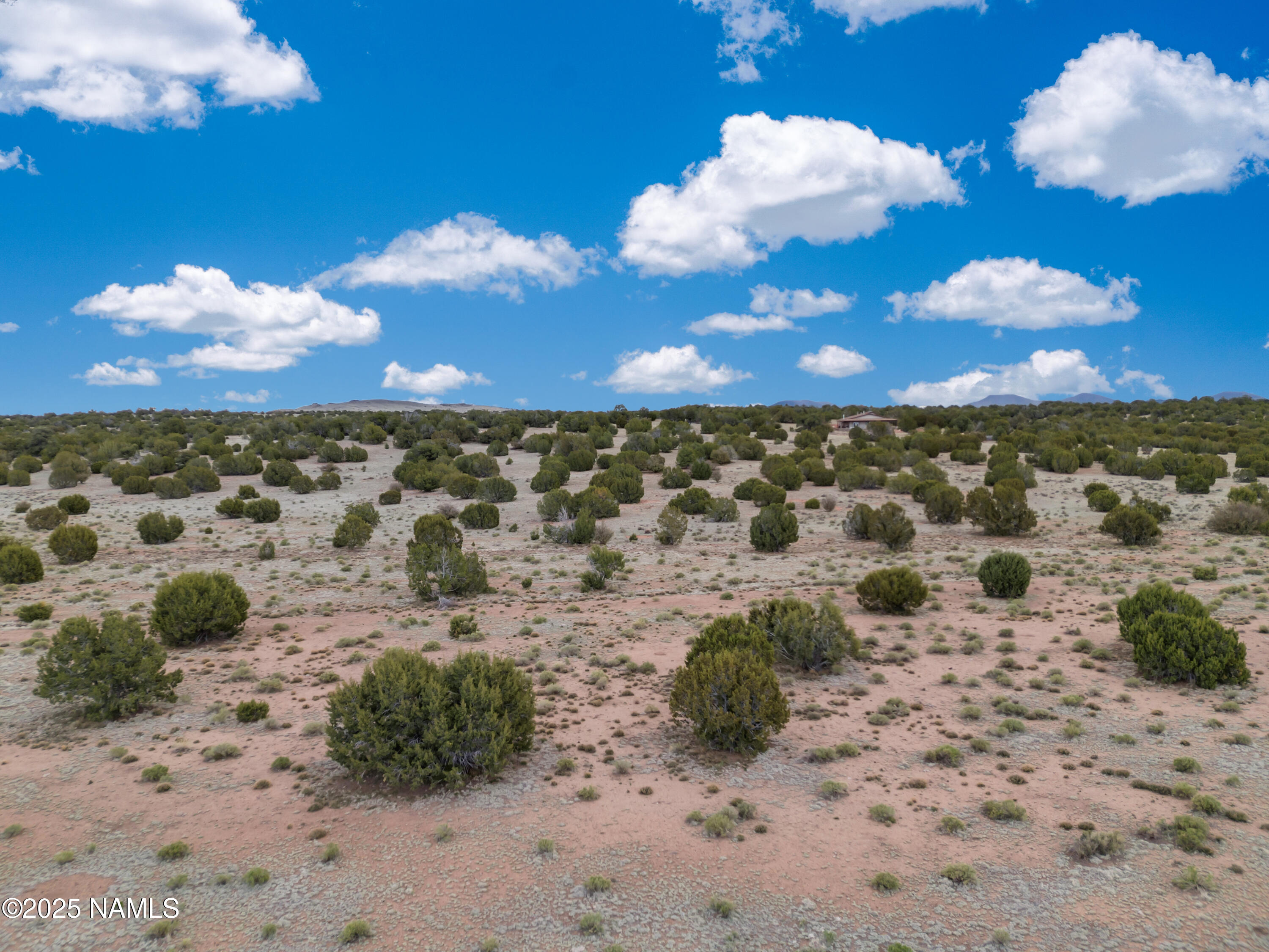 8752 South Lariat Road Williams, AZ 86046 - Photo 29 of 38 a view of a yard