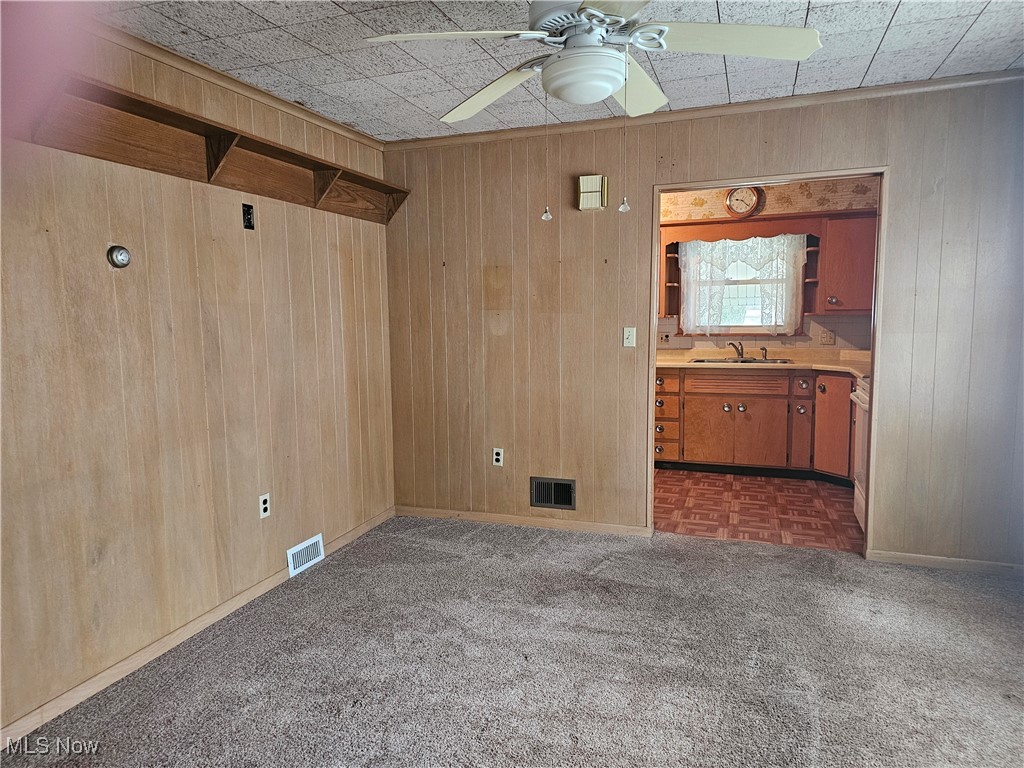 2415 Columbiana Road New Springfield, OH 44443 - Photo 15 of 25 featuring ceiling fan, sink, and wooden walls