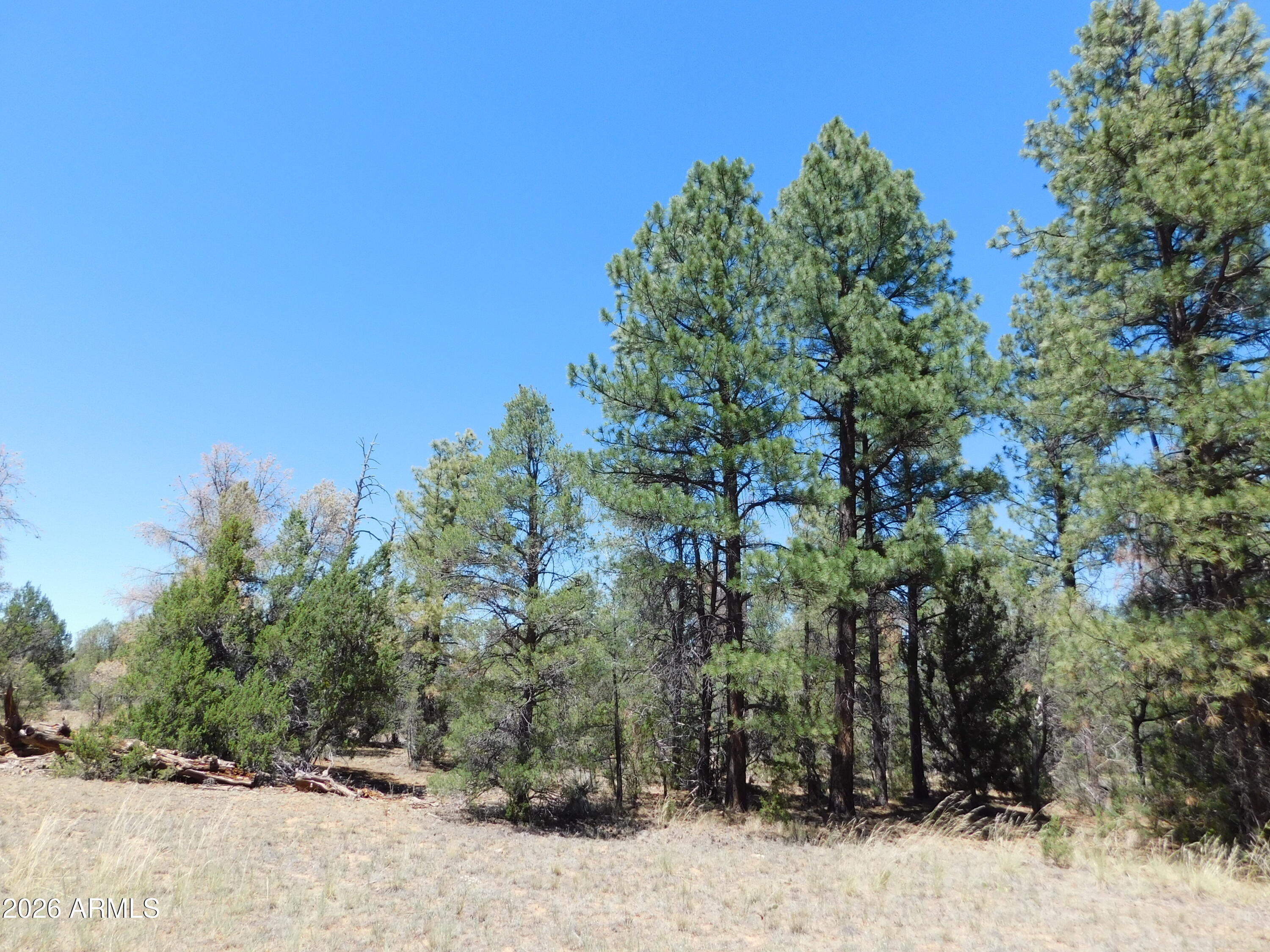 3100 Pinewood Drive, Unit 83B Overgaard, AZ 85933 - Photo 1 of 4 DSCN5132